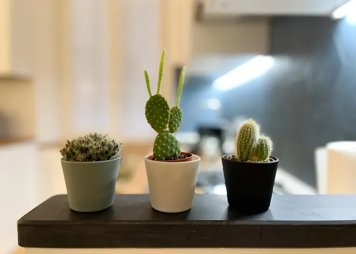 דירה Caruggi Dream